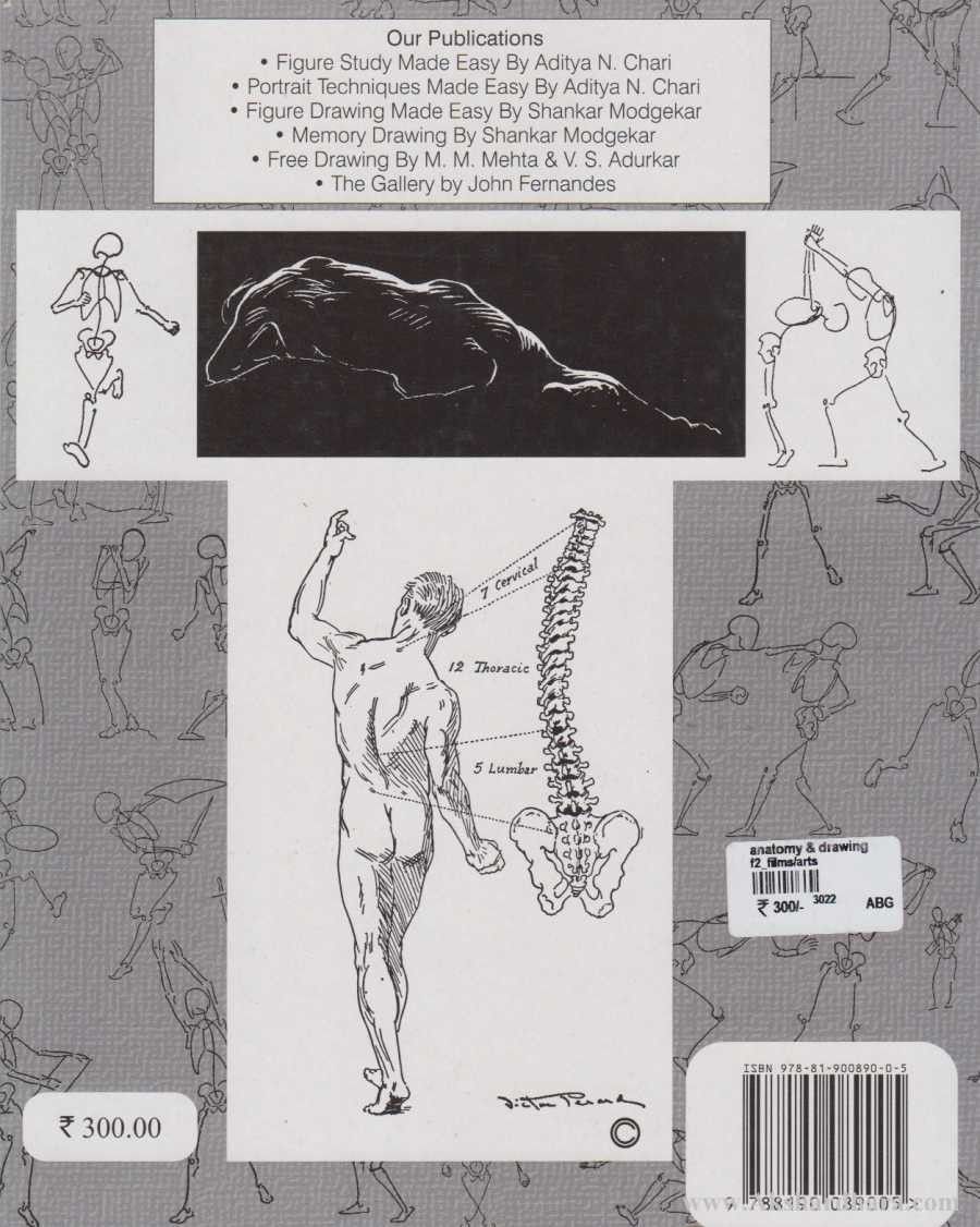 Anatomy And Drawing