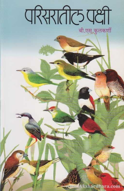Parisaratil Pakshi (परिसरातील पक्षी)