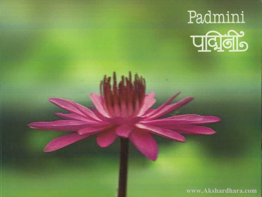 Padmini (पद्मिनी)