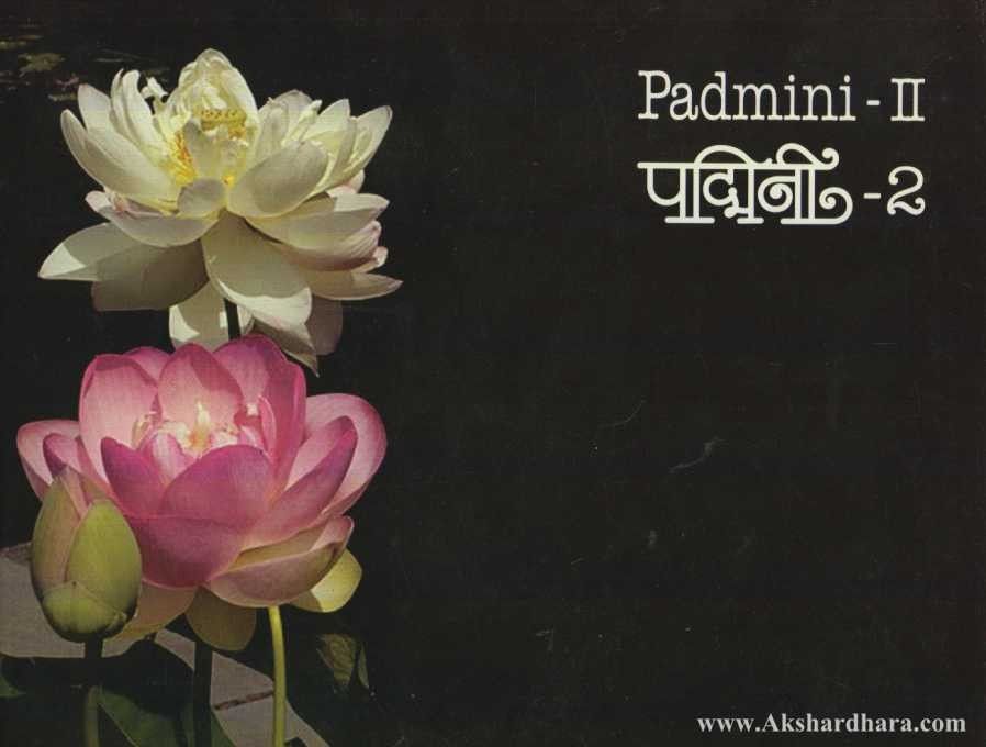 Padmini 2 (पद्मिनी २)