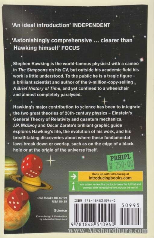 Stephen Hawking A Graphic Guide