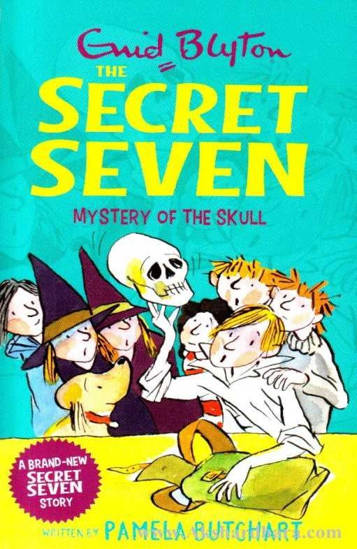 Secret Seven Mystery of Skull