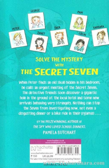 Secret Seven Mystery of Skull