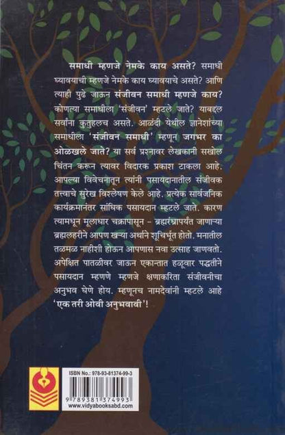 Samadhitil Spandane (समाधीतील स्पंदने)